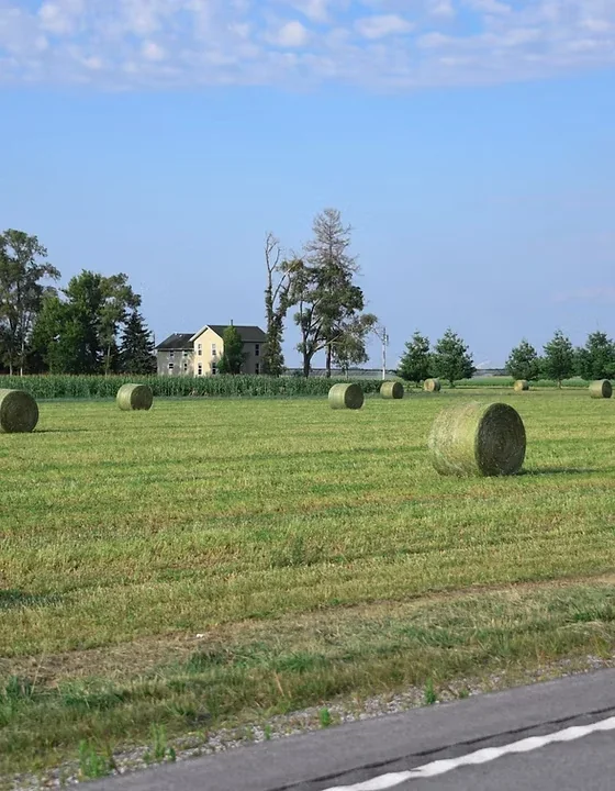 Animal feed field